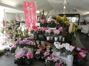 ことしもいよいよ｜「ａｉ　ｆｌｏｗｅｒ」　（鹿児島県薩摩川内市の花キューピット加盟店 花屋）のブログ