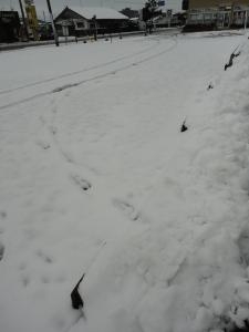 雪!!雪!!雪!!｜「ａｉ　ｆｌｏｗｅｒ」　（鹿児島県薩摩川内市の花キューピット加盟店 花屋）のブログ