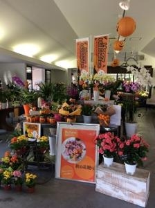 Halloween(^O^)／楽しんでます。｜「ａｉ　ｆｌｏｗｅｒ」　（鹿児島県薩摩川内市の花キューピット加盟店 花屋）のブログ