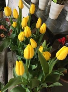 3月です（＾ｖ＾）｜「ａｉ　ｆｌｏｗｅｒ」　（鹿児島県薩摩川内市の花キューピット加盟店 花屋）のブログ