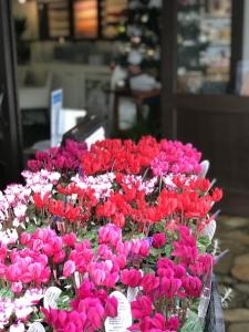 お待たせいたしました!!｜「ａｉ　ｆｌｏｗｅｒ」　（鹿児島県薩摩川内市の花キューピット加盟店 花屋）のブログ