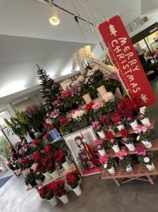 クリスマス｜「ａｉ　ｆｌｏｗｅｒ」　（鹿児島県薩摩川内市の花キューピット加盟店 花屋）のブログ