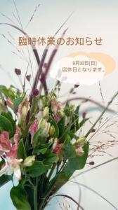 臨時休業のお知らせ｜「ａｉ　ｆｌｏｗｅｒ」　（鹿児島県薩摩川内市の花キューピット加盟店 花屋）のブログ
