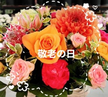 敬老の日｜「ａｉ　ｆｌｏｗｅｒ」　（鹿児島県薩摩川内市の花キューピット加盟店 花屋）のブログ