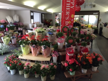 「ａｉ　ｆｌｏｗｅｒ」　（鹿児島県薩摩川内市）の花屋店舗写真3